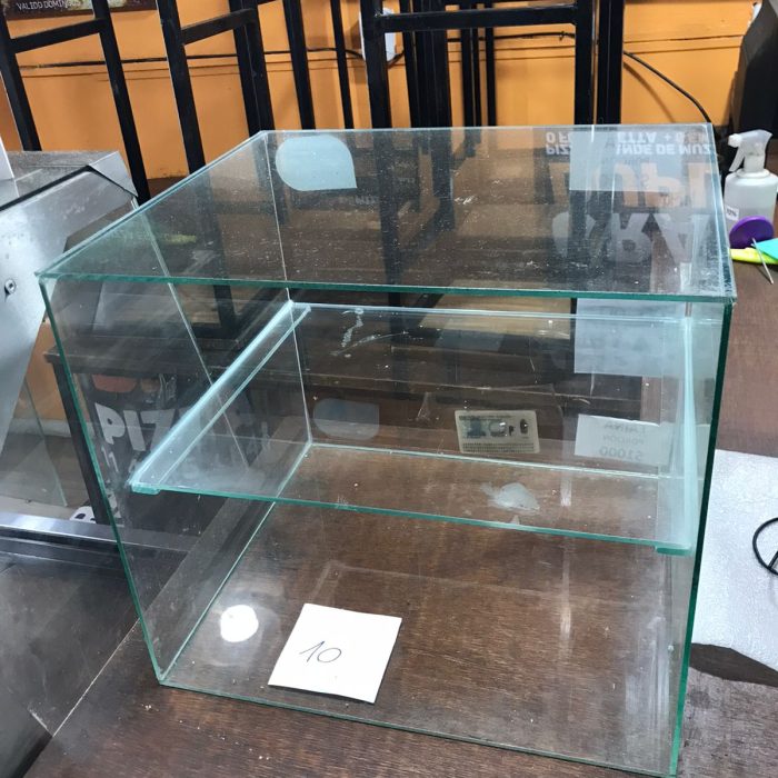 WhatsApp Image 2026-02-11 at 1.35.05 PM (1)