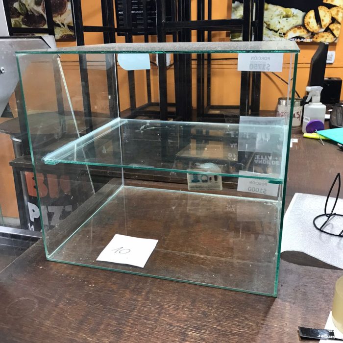 WhatsApp Image 2026-02-11 at 1.35.05 PM