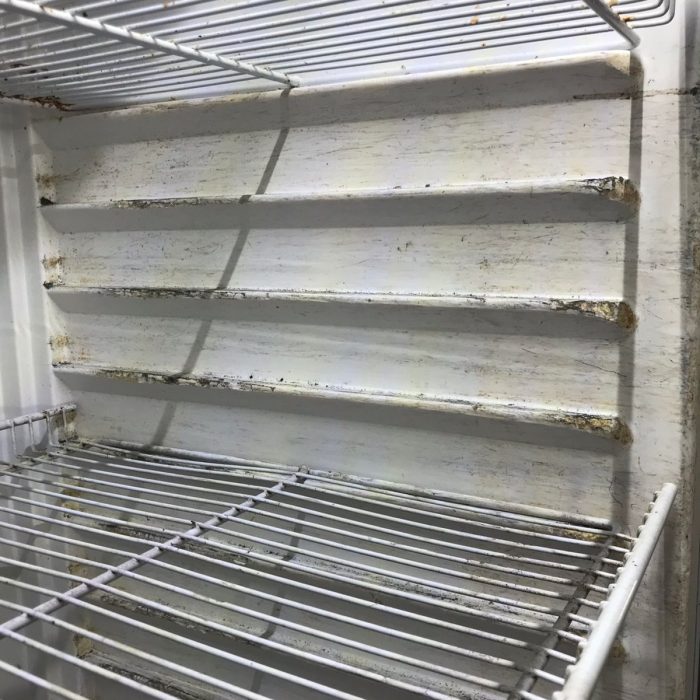 WhatsApp Image 2026-02-11 at 1.35.19 PM (1)