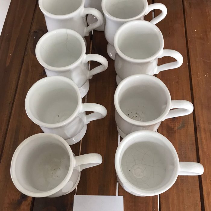 WhatsApp Image 2026-02-12 at 7.10.05 PM