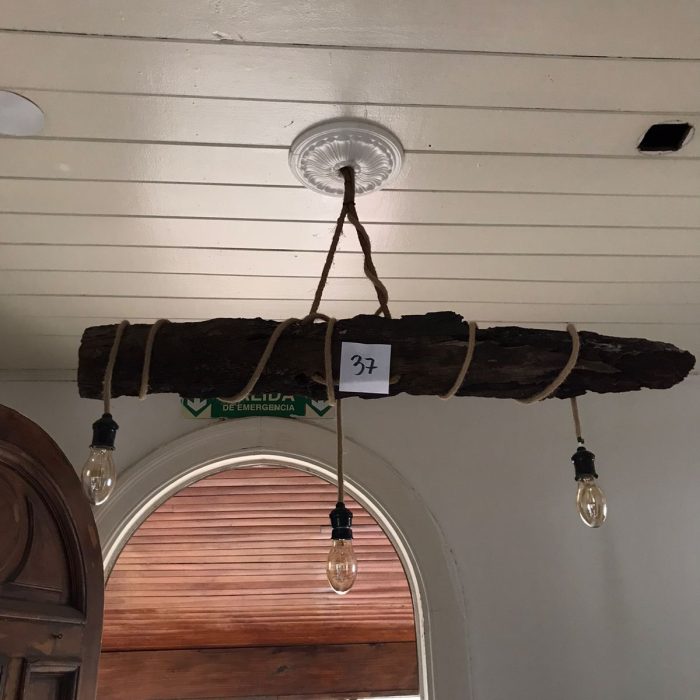 WhatsApp Image 2026-02-12 at 7.45.49 PM (1)