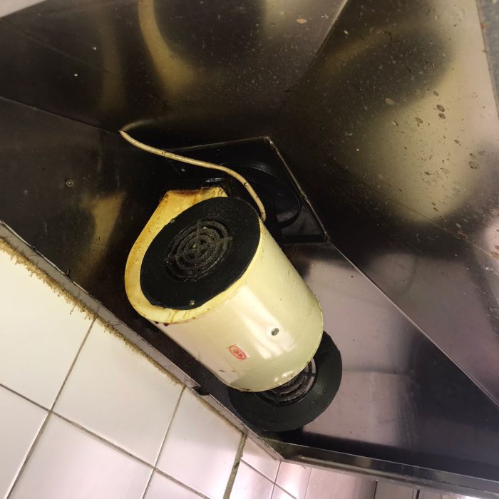 WhatsApp Image 2026-02-13 at 7.26.11 AM