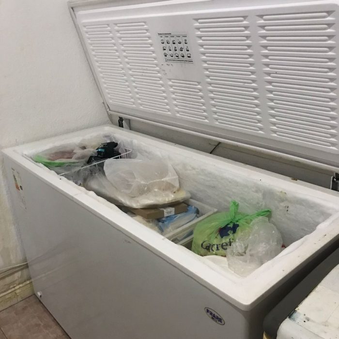 WhatsApp Image 2026-02-13 at 7.28.53 AM