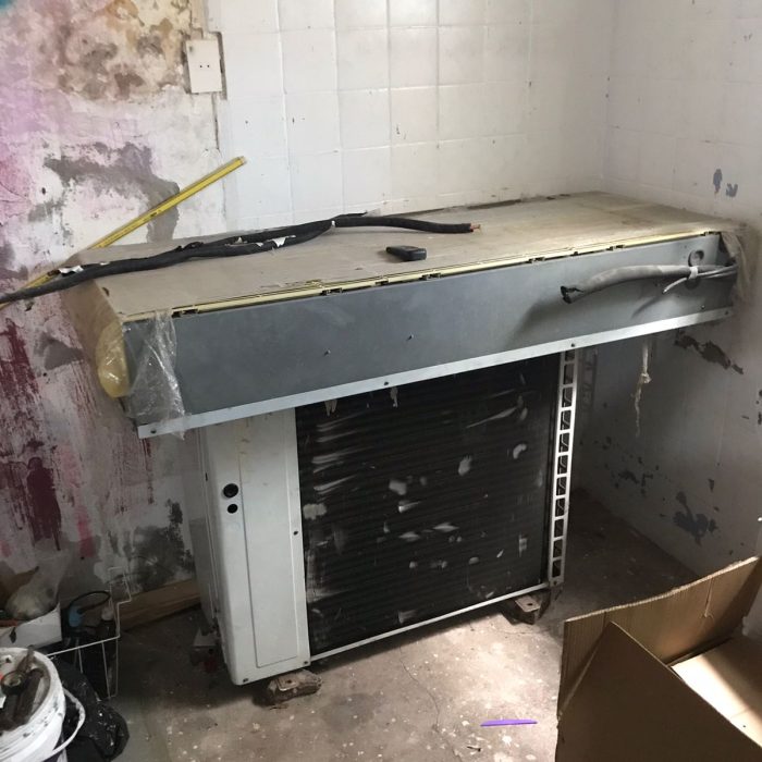 WhatsApp Image 2026-02-13 at 7.29.56 AM (3)