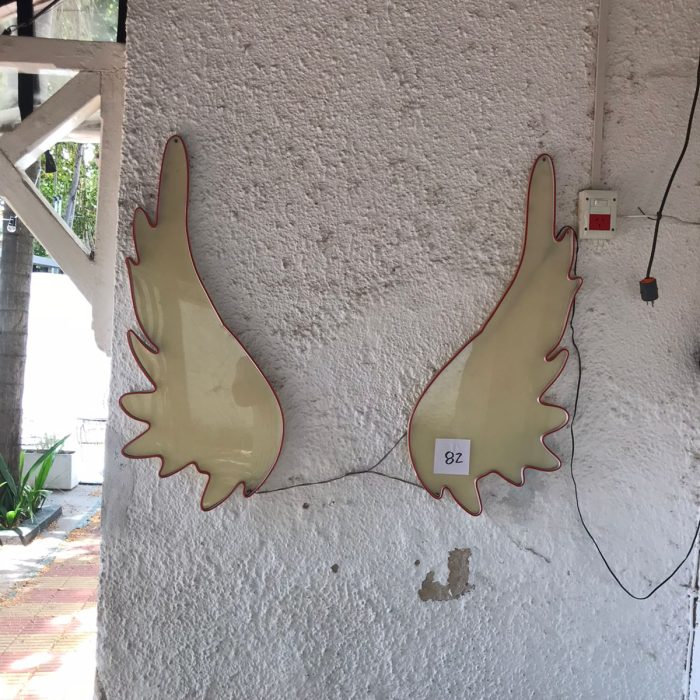 WhatsApp Image 2026-02-13 at 7.35.30 AM