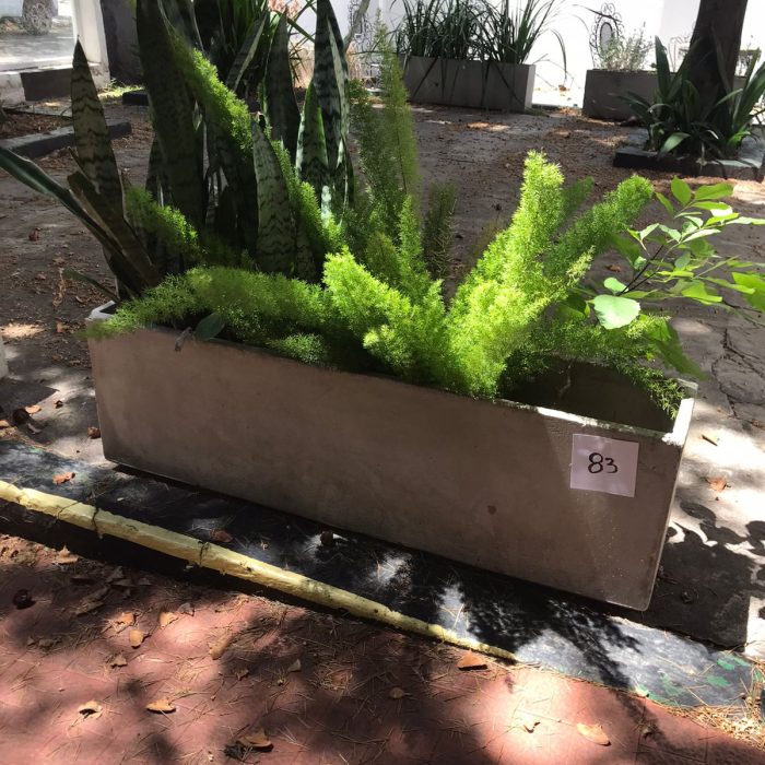 WhatsApp Image 2026-02-13 at 7.35.31 AM (1)