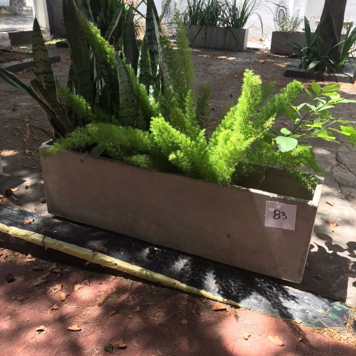 WhatsApp Image 2026-02-13 at 7.35.33 AM