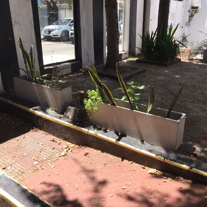 WhatsApp Image 2026-02-13 at 7.35.34 AM