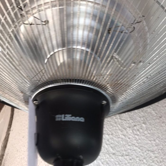 WhatsApp Image 2026-02-13 at 7.35.37 AM