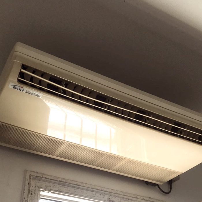 WhatsApp Image 2026-02-13 at 7.36.56 AM