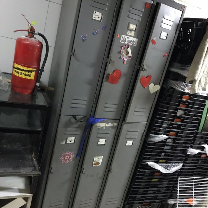 WhatsApp Image 2026-02-20 at 11.56.01 AM (1)