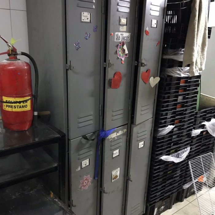 WhatsApp Image 2026-02-20 at 11.56.01 AM