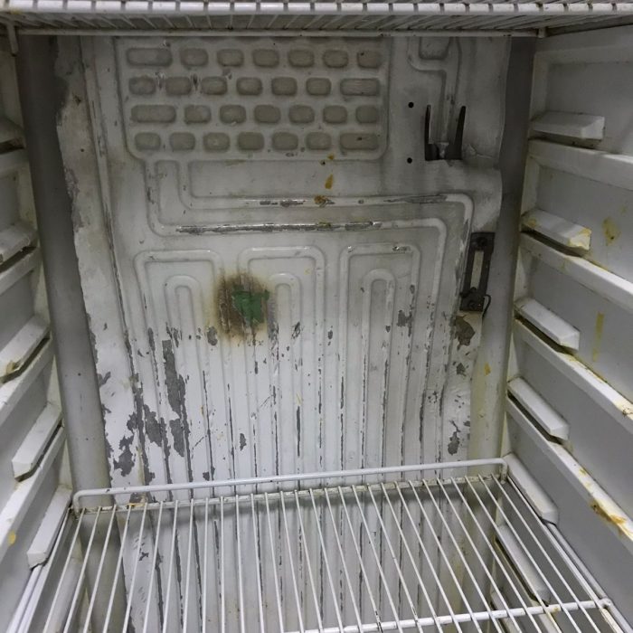 WhatsApp Image 2026-02-20 at 11.56.09 AM (2)