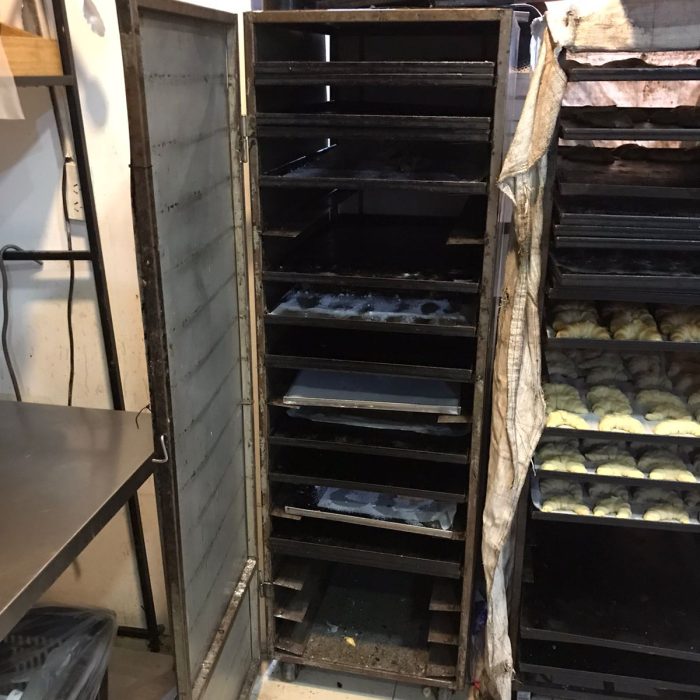 WhatsApp Image 2026-02-20 at 11.56.11 AM