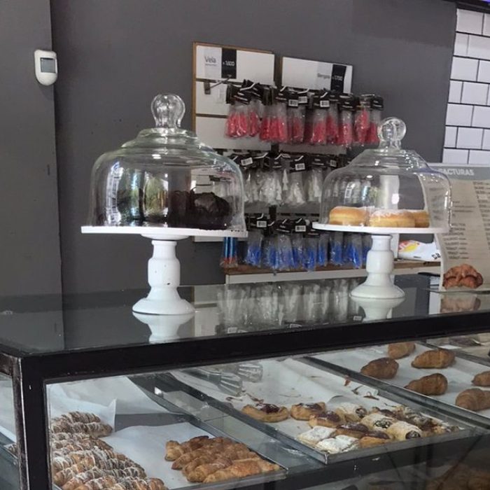 WhatsApp Image 2026-02-20 at 12.03.32 PM