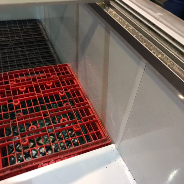 WhatsApp Image 2026-02-20 at 12.26.29 PM