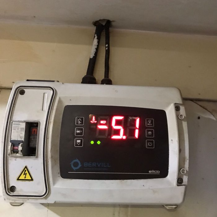 WhatsApp Image 2026-02-20 at 12.41.46 PM