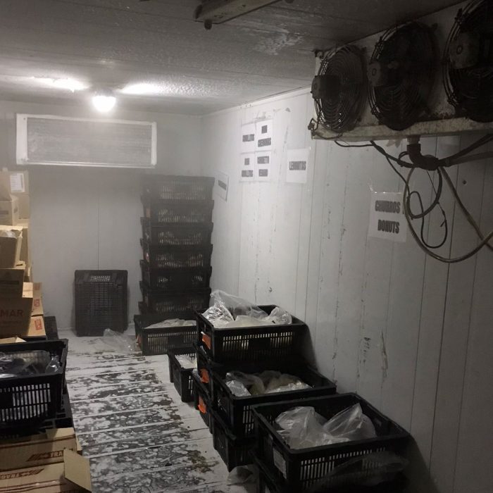 WhatsApp Image 2026-02-20 at 12.41.48 PM