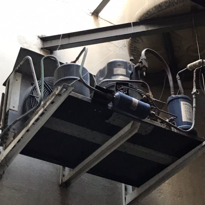 WhatsApp Image 2026-02-20 at 12.42.41 PM