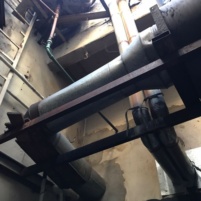 WhatsApp Image 2026-02-20 at 12.42.42 PM