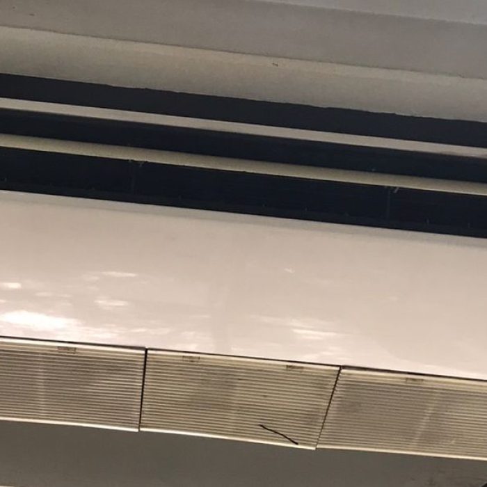 WhatsApp Image 2026-02-20 at 12.42.43 PM