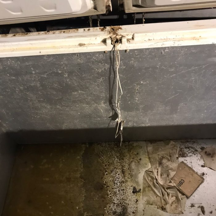 WhatsApp Image 2026-02-25 at 11.19.09 AM (1)