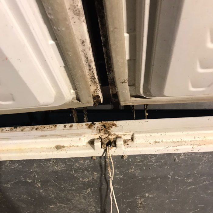 WhatsApp Image 2026-02-25 at 11.19.09 AM (2)