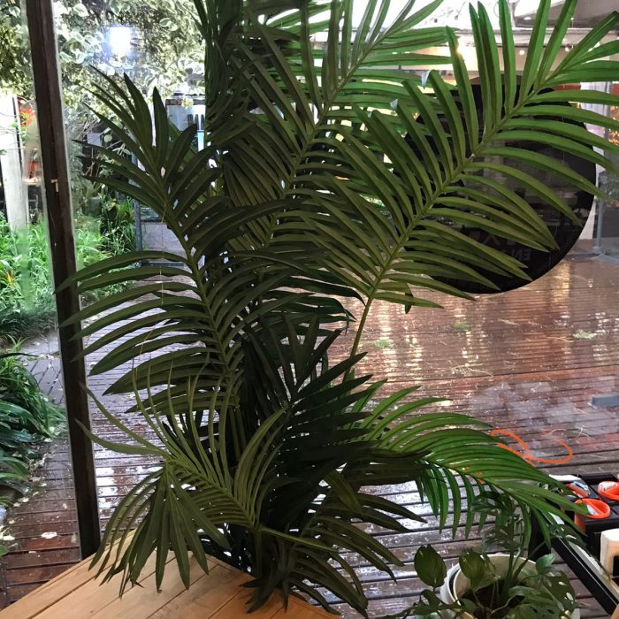 WhatsApp Image 2026-04-02 at 2.00.35 PM (1)