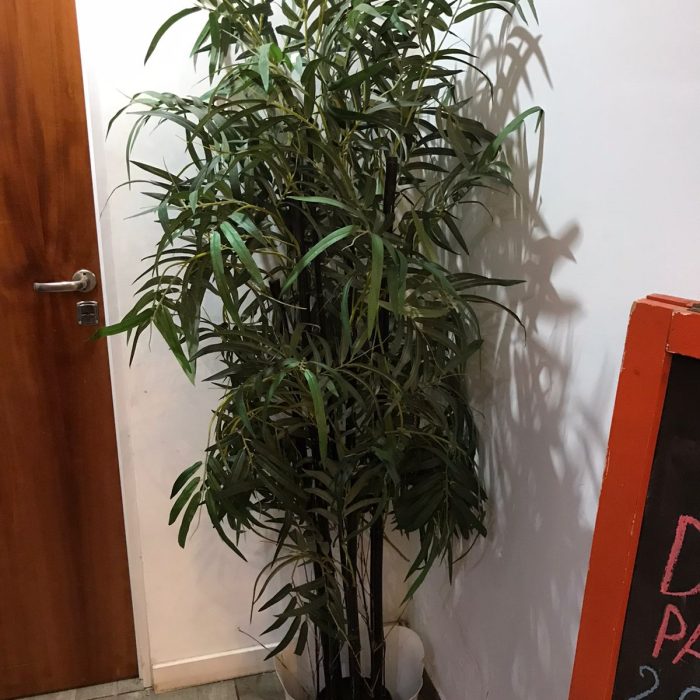 WhatsApp Image 2026-04-02 at 2.00.35 PM