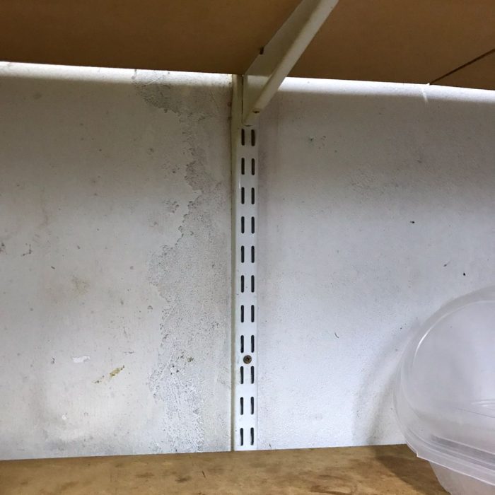 WhatsApp Image 2026-04-02 at 2.16.30 PM (1)