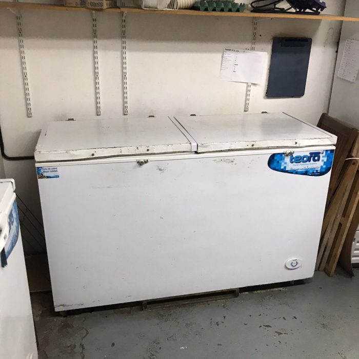 WhatsApp Image 2026-04-02 at 2.58.56 PM (1)