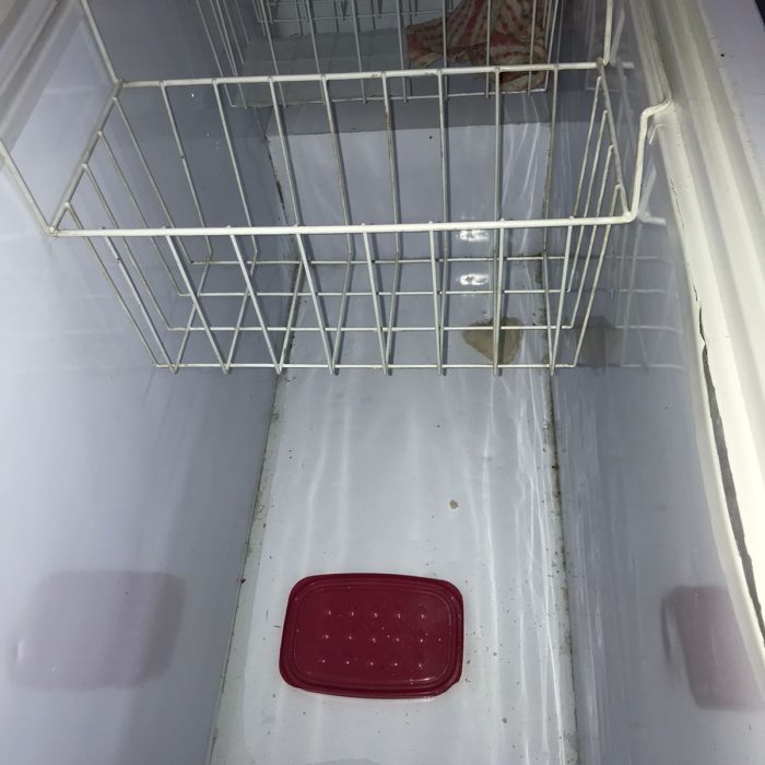 WhatsApp Image 2026-04-02 at 2.58.58 PM (1)