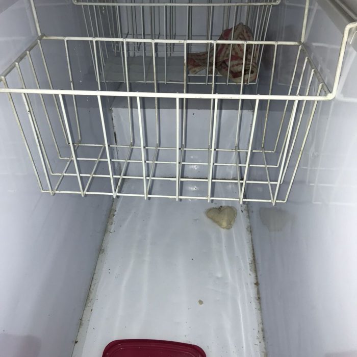 WhatsApp Image 2026-04-02 at 2.58.58 PM (2)