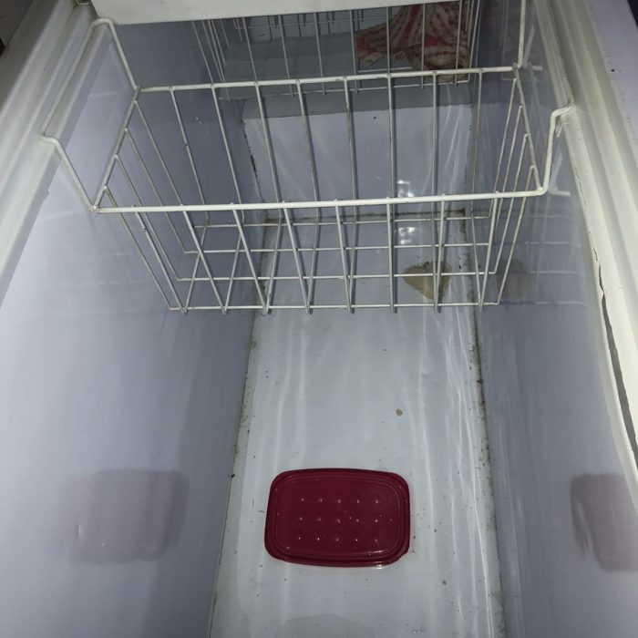 WhatsApp Image 2026-04-02 at 2.58.59 PM