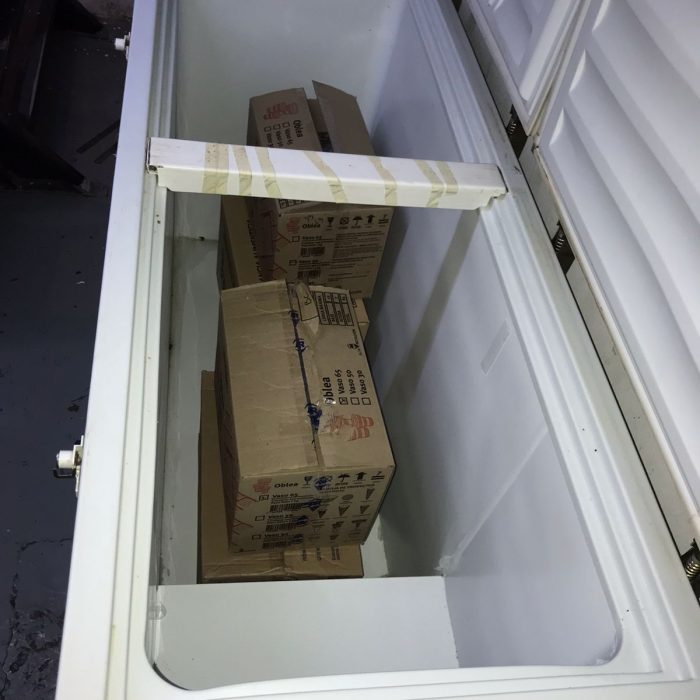 WhatsApp Image 2026-04-02 at 4.12.16 PM