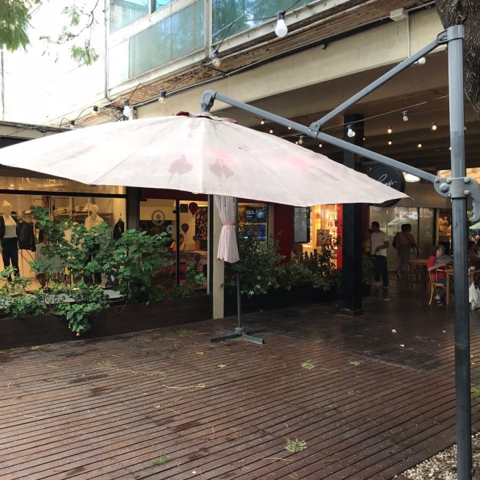 WhatsApp Image 2026-04-02 at 4.25.22 PM