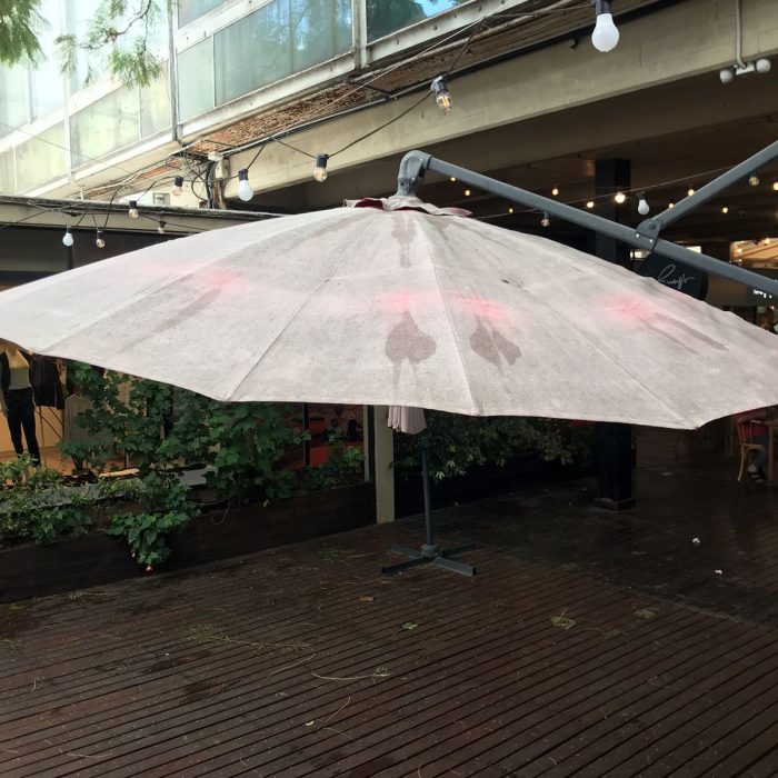 WhatsApp Image 2026-04-02 at 4.25.23 PM (2)