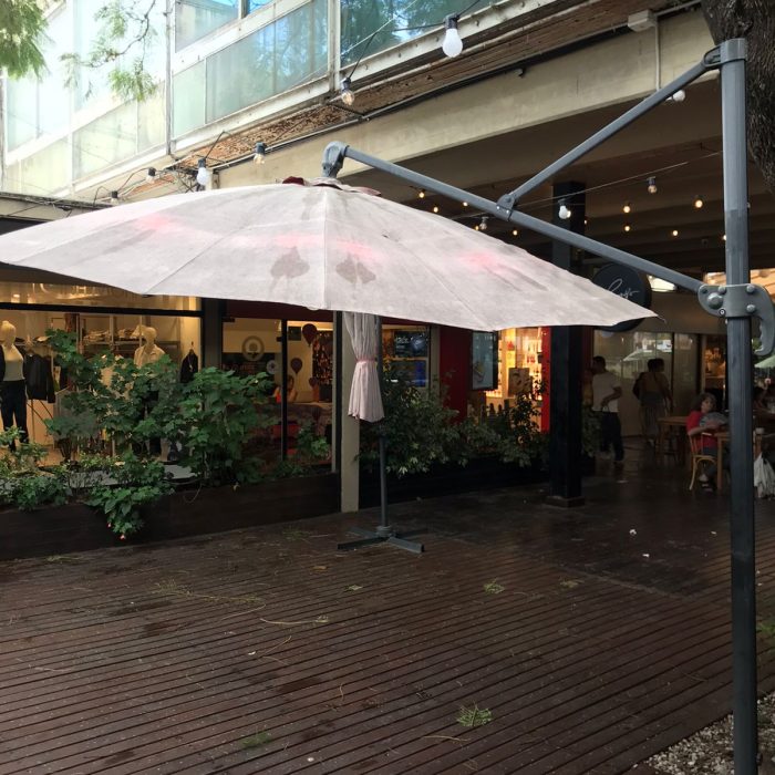 WhatsApp Image 2026-04-02 at 4.25.23 PM