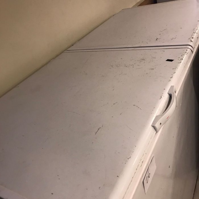 WhatsApp Image 2026-04-03 at 7.25.57 PM (1)