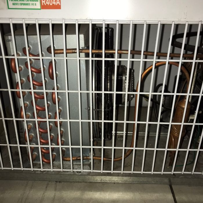 WhatsApp Image 2026-04-03 at 7.26.01 PM (2)