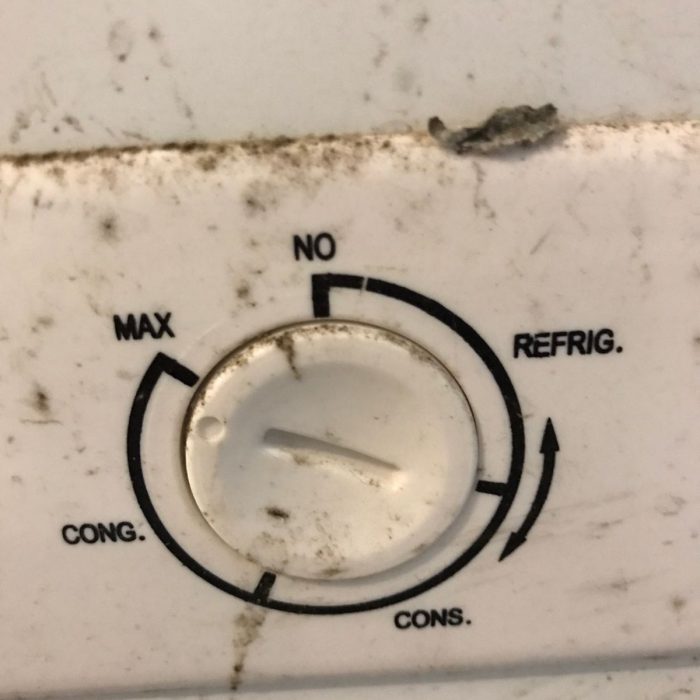 WhatsApp Image 2026-04-04 at 5.22.52 PM (1)