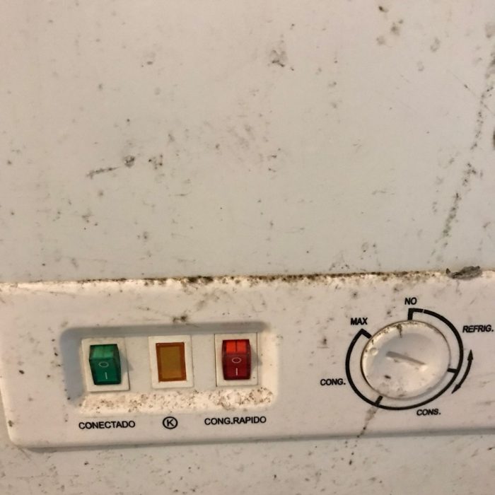 WhatsApp Image 2026-04-04 at 5.22.52 PM