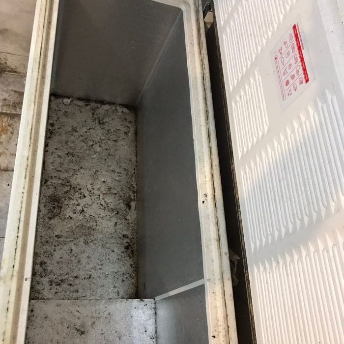 WhatsApp Image 2026-04-04 at 5.24.06 PM