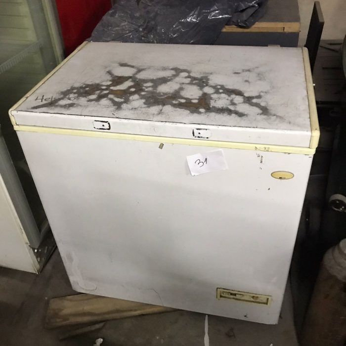 WhatsApp Image 2026-04-04 at 5.28.50 PM (1)