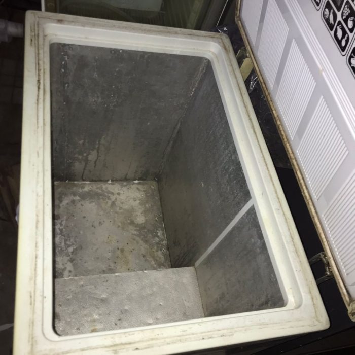 WhatsApp Image 2026-04-04 at 5.28.51 PM