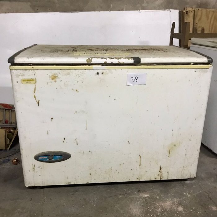 WhatsApp Image 2026-04-04 at 5.29.25 PM (1)