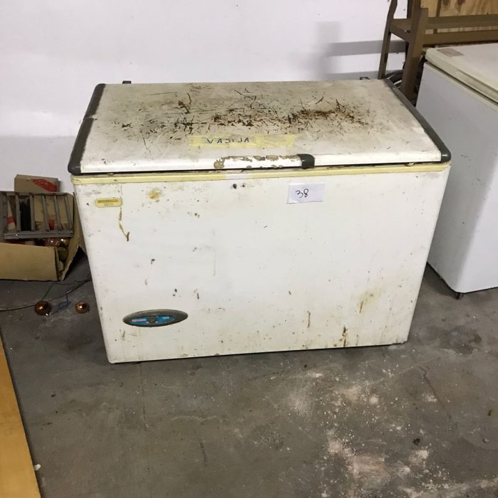 WhatsApp Image 2026-04-04 at 5.29.25 PM