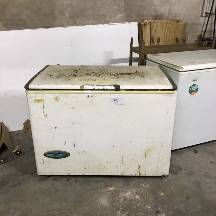 WhatsApp Image 2026-04-04 at 5.29.43 PM