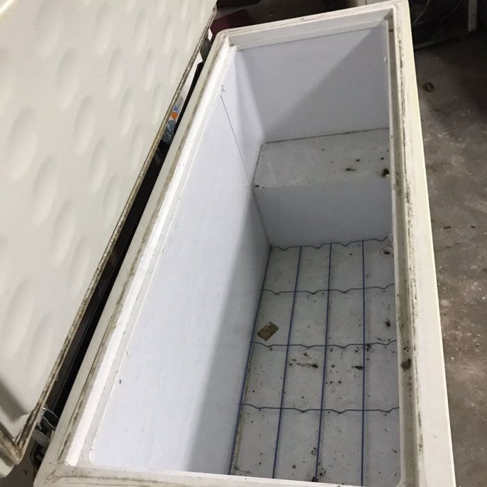 WhatsApp Image 2026-04-04 at 5.40.50 PM