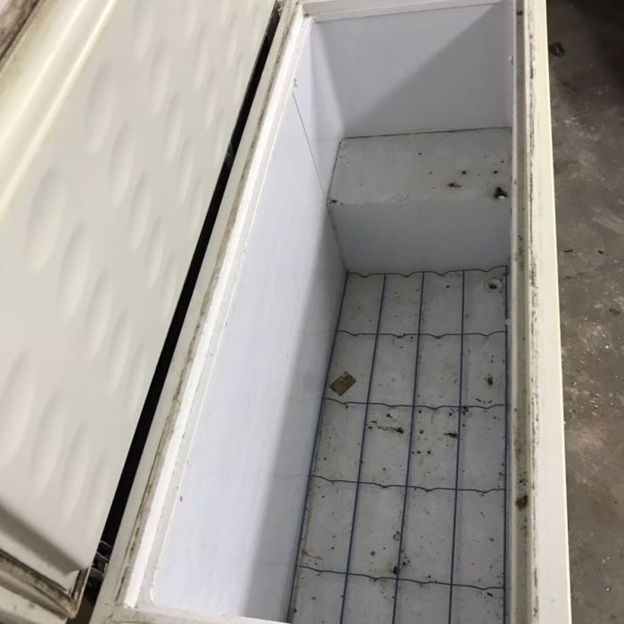 WhatsApp Image 2026-04-04 at 5.40.51 PM